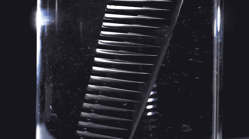 tiger 2-8.gif